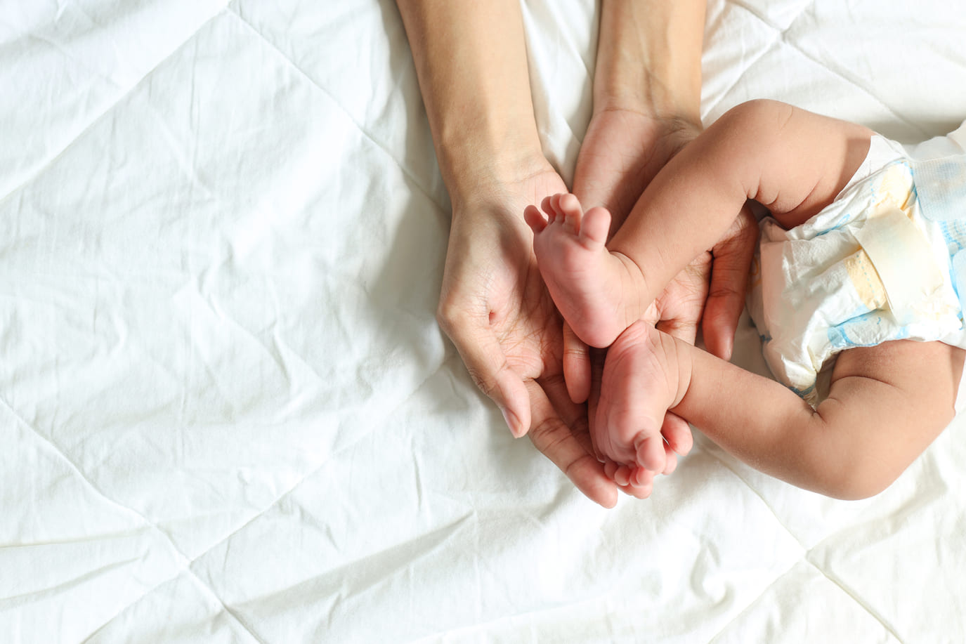 Family Aims: acompañamiento integral en gestación subrogada en Uruguay